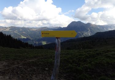 Trail On foot Großarl - Wanderweg 67 - Photo