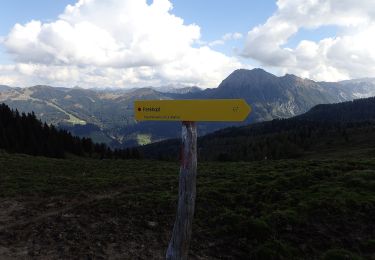 Randonnée A pied Großarl - Wanderweg 67 - Photo