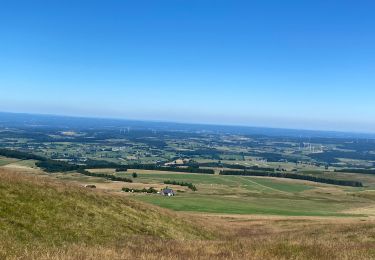 Trail Walking Murat-le-Quaire - La banne d’Ordanche - Photo