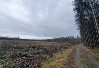 Tocht Stappen Libramont-Chevigny - rando laneuville(libramont)18/02/2021 - Photo