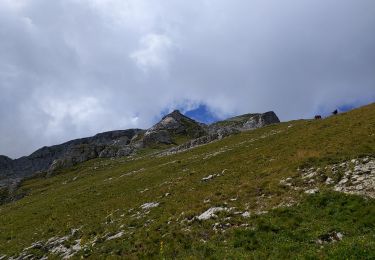 Randonnée Marche La Chapelle-d'Abondance - Cornettes de Bises - Photo