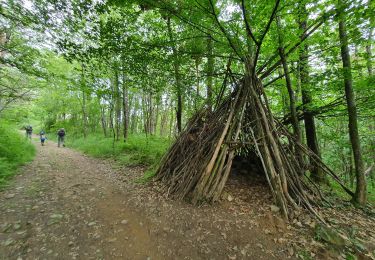 Trail Walking Rontalon - Rontalon - Tour de Rontalon - Photo