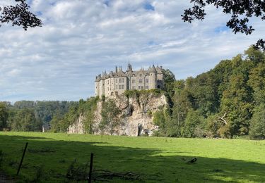 Randonnée Marche Houyet - GR126 : Gendron - Anseremme - Dinant - Photo