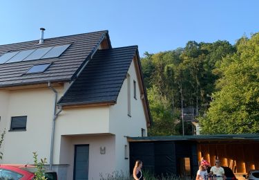 Trail Bicycle tourism Cernay - ELSASS BIKE 2020 - ETAPE 8 - Photo