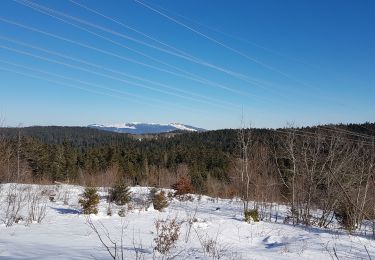 Trail Snowshoes Haut Valromey - La Manche La Cua Merlogne - Photo
