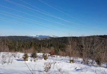 Tour Schneeschuhwandern Haut Valromey - La Manche La Cua Merlogne - Photo