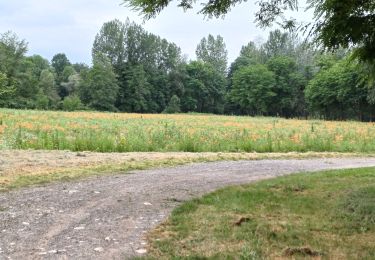 Tocht Stappen Touille - canal et lac de Touille4 - Photo