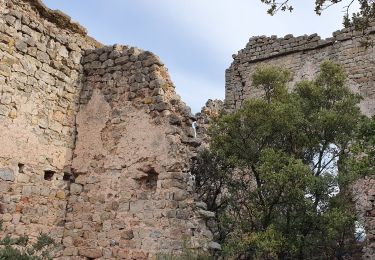 Tocht Stappen Vins-sur-Caramy - vins sur caramy - Photo