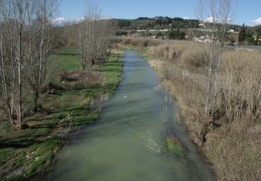 Excursión A pie Montespertoli - Dolce campagna antiche mura 4 - Photo