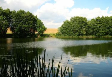 Tour Zu Fuß Stubbendorf - Stubbendorf-Liepen - Photo