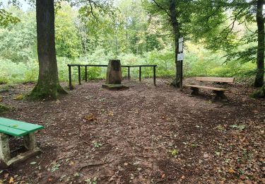 Trail Walking Lemberg - lemberg - Photo