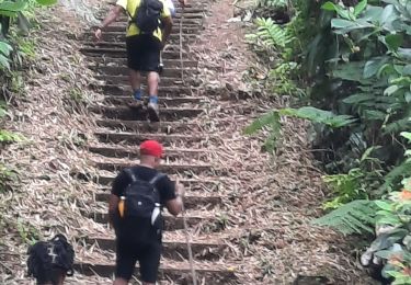 Tour Wandern Le Morne-Rouge - Trace des Jésuites  - Photo