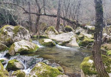 Tour Wandern Mazaugues - La Baume st Michel Mazaugues - Photo