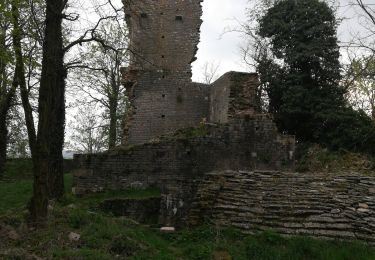 Randonnée Marche Mercurey - Mercurey - Photo
