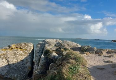 Excursión Senderismo Quiberon - PR_56_Quiberon_BA_02_Circuit1b_Cote-Baie_20230102 - Photo