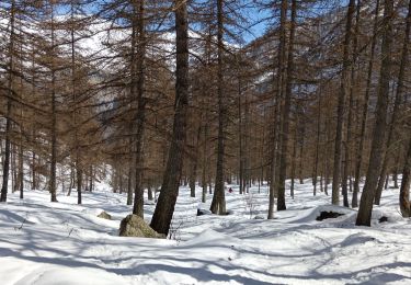 Randonnée Marche Le Monêtier-les-Bains - lac....  - Photo