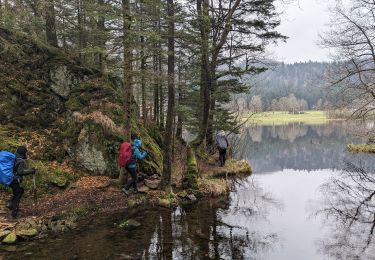 Tour Wandern Woll - 2023-04-16 Marche Abri Lac de Blanchemer vers Lac de Lispach - Photo