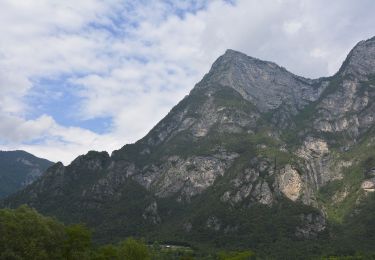 Percorso A piedi Cinte Tesino - Sentiero della Presa - Photo