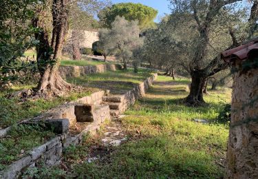 Percorso Marcia Mougins - Mougins - Photo