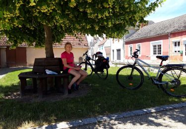 Excursión Cicloturismo Nevers - boucle  Nevers sancoin Nevers  - Photo