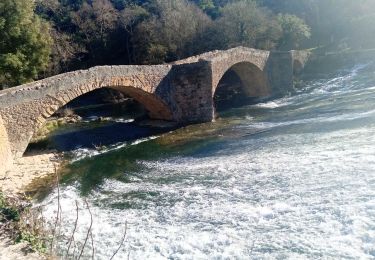 Tour Wandern Vins-sur-Caramy - vins carces - Photo