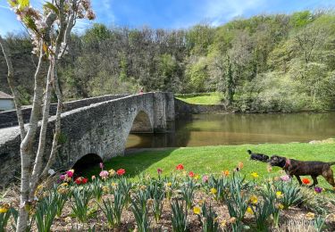 Tour Wandern Solignac - Solignac Château de Chalucet retour Solignac par val de Briance  - Photo