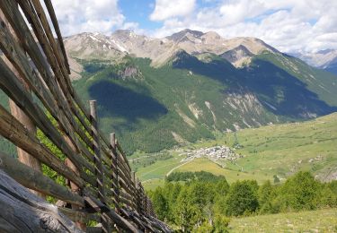 Tour Wandern Val-d'Oronaye - tete dure vers col de l'arche - Photo