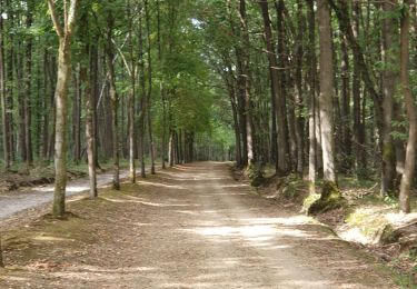 Randonnée Marche Gif-sur-Yvette - gitane à Gif - Photo