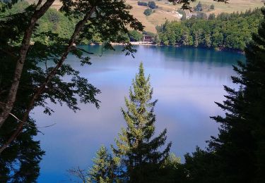 Excursión Senderismo Besse-et-Saint-Anastaise - puy Montchal-Pavin et œuvre horizon 2022  - Photo