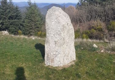 Tour Wandern Saint-Roman-de-Codières - st roman de codieres - Photo