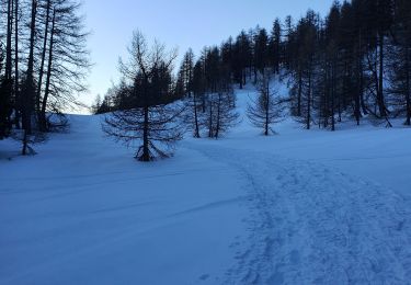 Excursión Raquetas de nieve Vars - Fontbonne Cabane de l'Écuelle Refuge Napoléon  - Photo