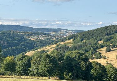 Tocht Stappen Saint-Bonnet-le-Courreau - Vallée de Chorsin  - Photo