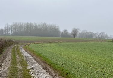 Excursión Senderismo Geraardsbergen - Zandbergen 15,5 km - Photo