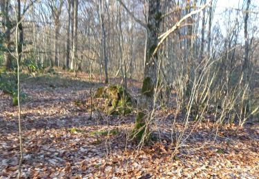 Tour Wandern Souligny - Souligny 16,2km DC+486 le 10.02.2023 - Photo