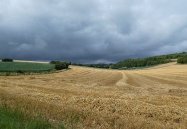 Tocht Stappen Tournehem-sur-la-Hem - Tournehem sur la Hem - Photo