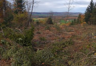 Trail Walking Naisey-les-Granges - Naisey les Grande - Photo