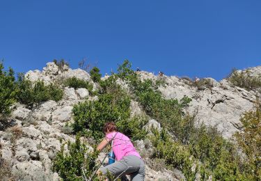 Randonnée Marche Saillans - cresta - Photo
