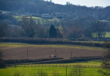 Percorso A piedi Somerset West and Taunton - Herepath Trail - Blagdon Hill - Photo