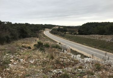 Tocht Mountainbike Prades-le-Lez - Solo  - Photo