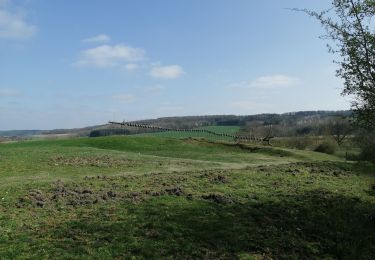 Randonnée Marche Belœil - faulx les tombes - Photo