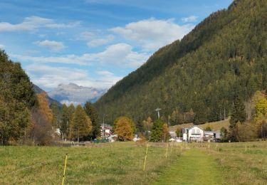 Tocht Stappen Vallorcine - 20241016 Vallorcine Le Buet - Photo