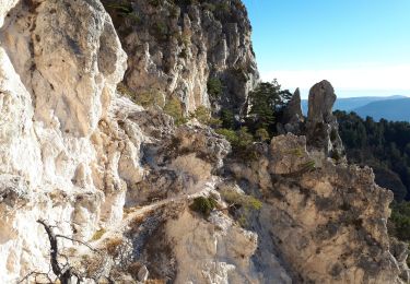 Tour Wandern Toudon - Baisse des Colettes et Mt Brune de Toudon - Photo