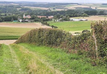 Percorso Marcia Reclinghem - Les hauts de RECLINGHEM  - Photo