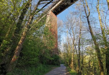 Percorso A piedi Waiblingen - Remstal - Schwaikheim - Photo