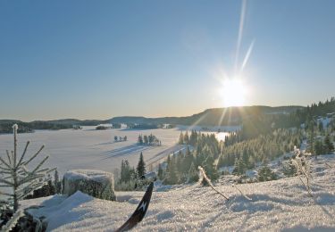 Percorso A piedi  - Kjerratstien - Photo