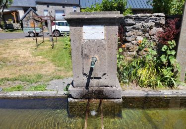 Trail Nordic walking Saint-Nectaire - J6 - Photo