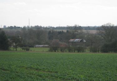 Percorso A piedi Solihull - ACW Circular Walk 20 - Photo