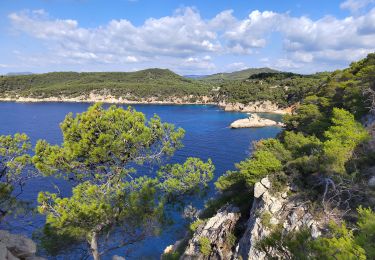 Trail Walking Bandol - Petit tour depuis Bandol  vers port d'Alon - Photo