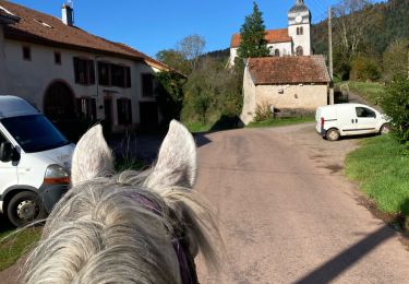 Trail Horseback riding Moyenmoutier - Chez Manu saint jean d’ormont - Photo