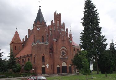 Randonnée A pied Miłomłyn - Ścieżka spacerowa - Photo